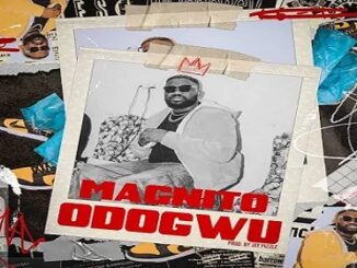 Magnito – Odogwu