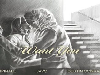Spinall – Want You Ft. JayO & DESTIN CONRAD