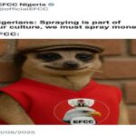 EFCC Issues Reminder to Nigerians on Naira Spraying