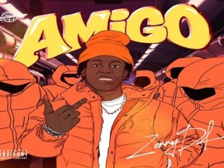 Zerrydl – My Amigo