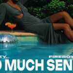 Gabzy – So Much Sense Ft. Fireboy DML