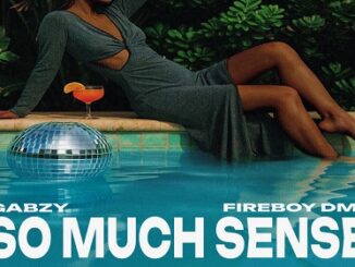 Gabzy – So Much Sense Ft. Fireboy DML