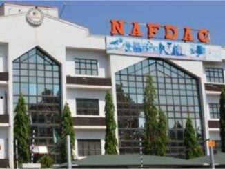 NAFDAC Shuts Down Illegal Herbal Factory in Kaduna