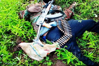 Soldiers Kill Bandits in Niger, Recover Arms
